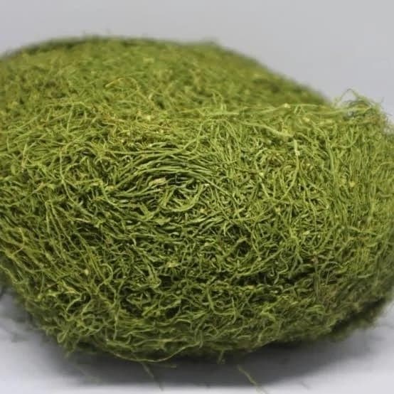 Gayo Hijau